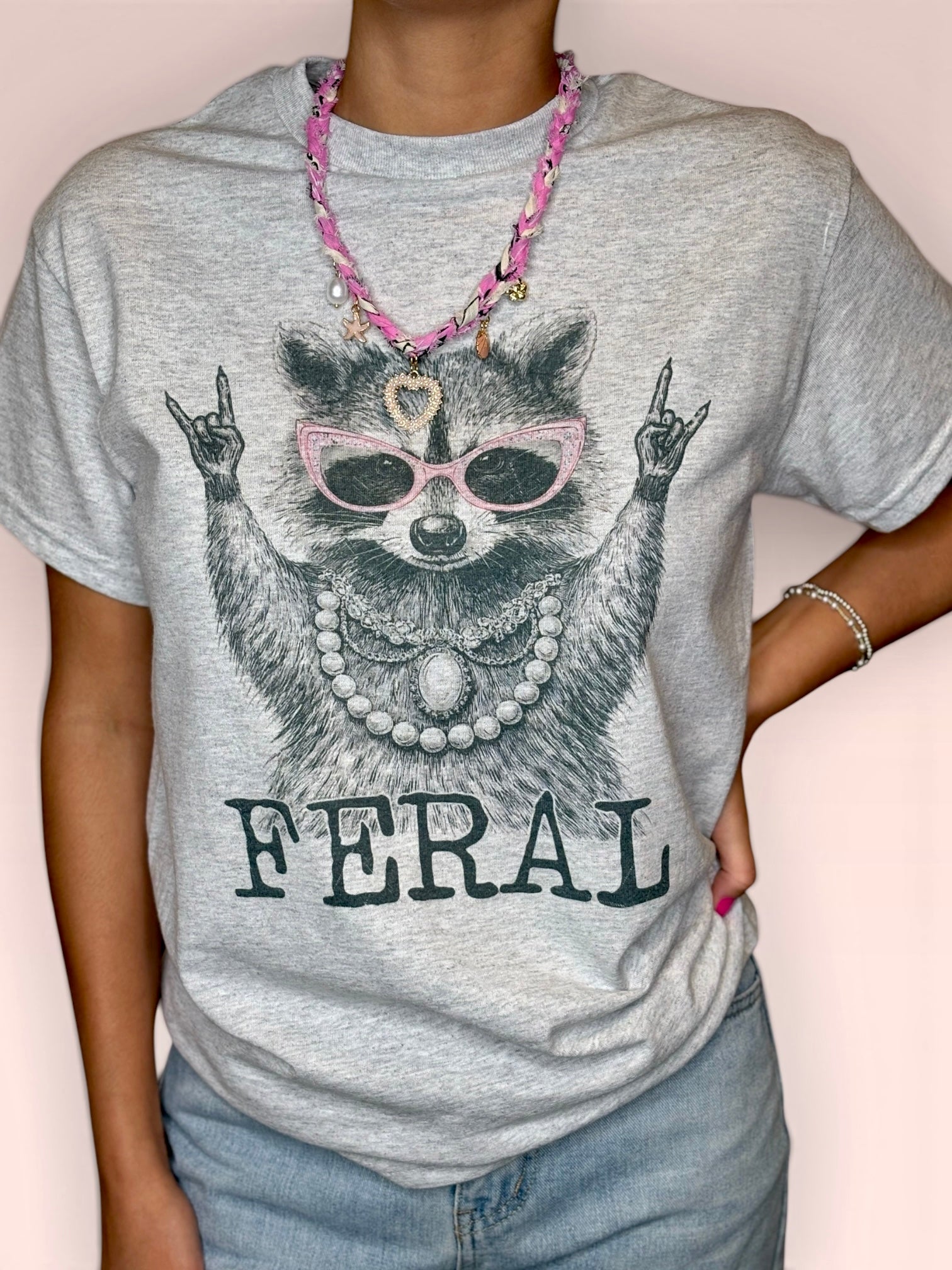Feral Raccoon