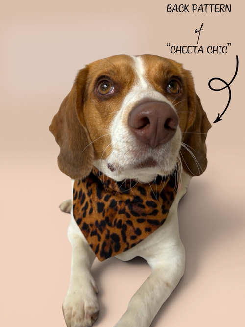 Cheetah Chic