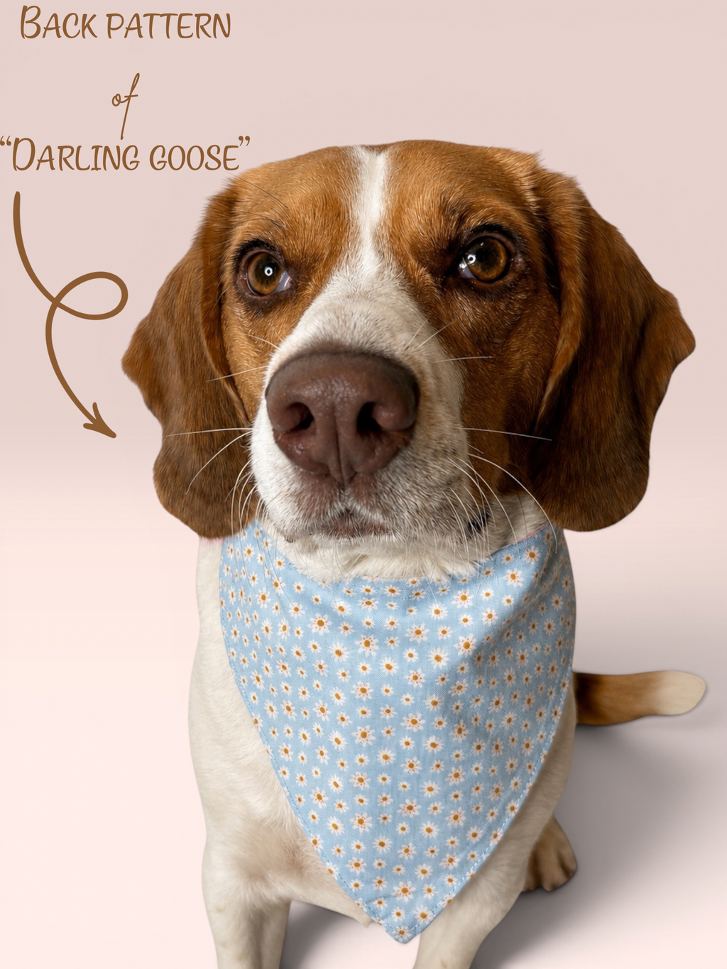Darling Goose