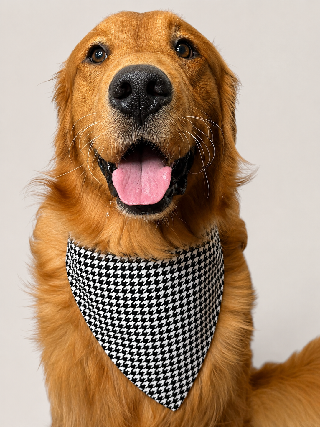 Houndstooth