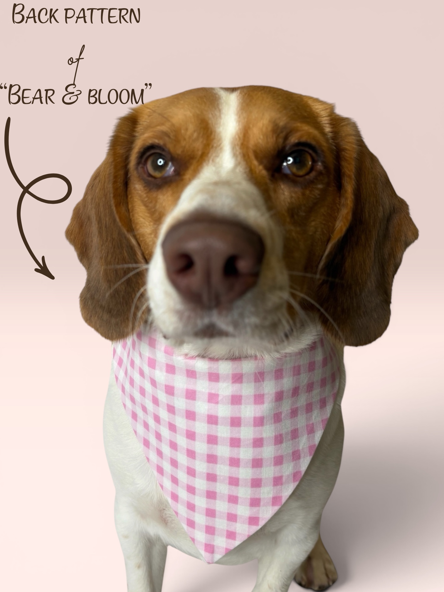 Bear & Bloom