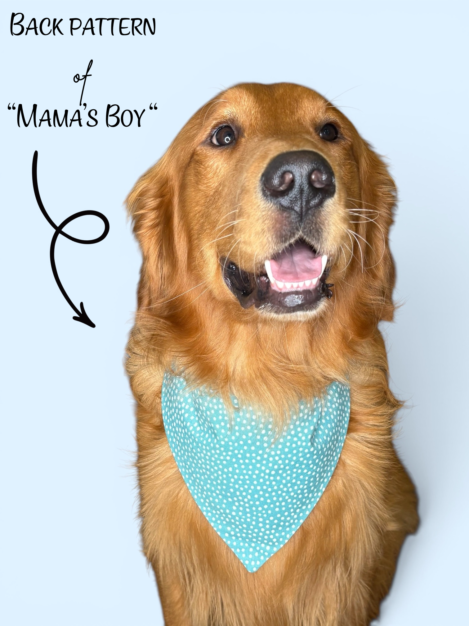 Mama’s Boy