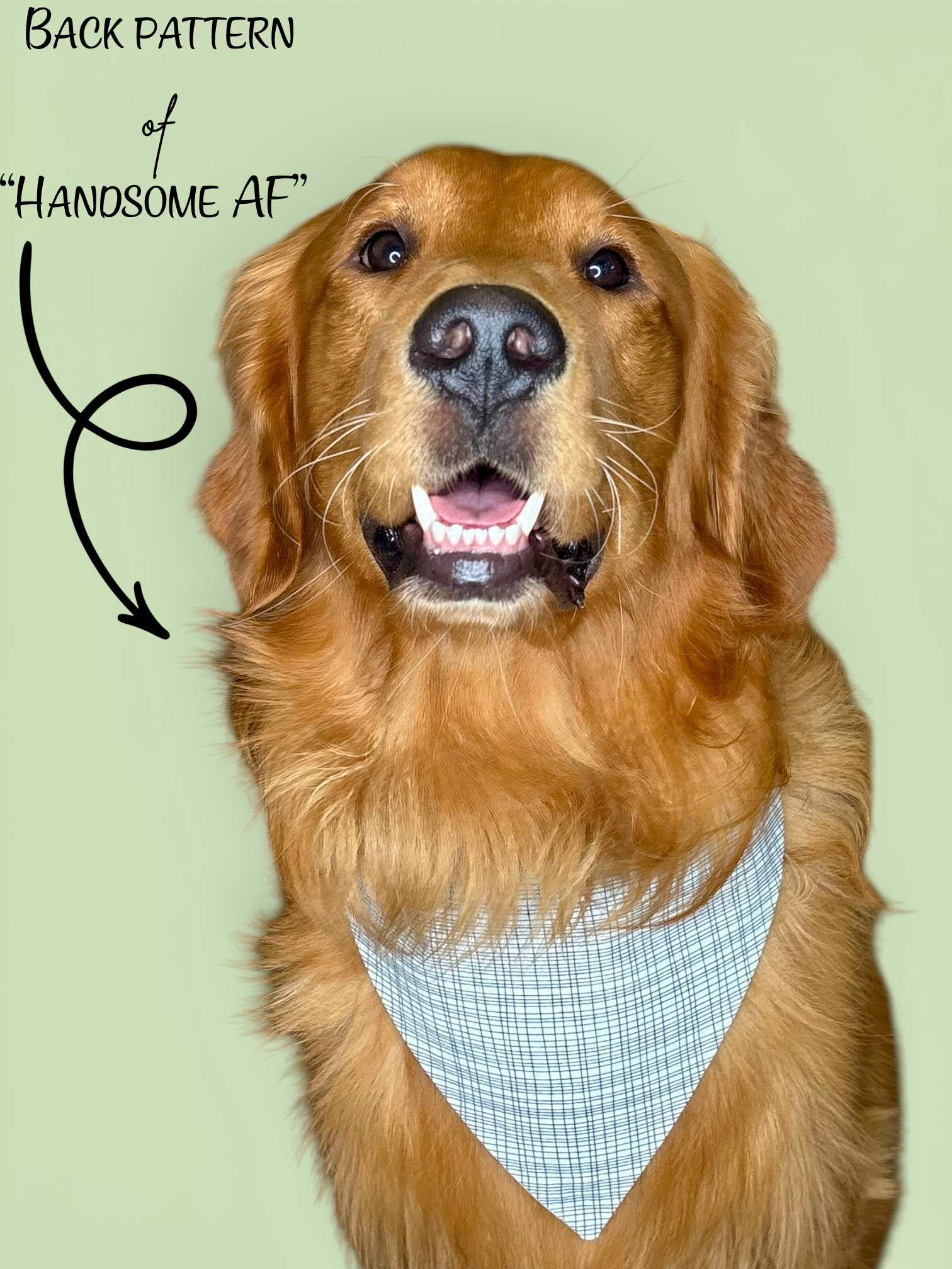 Handsome Af