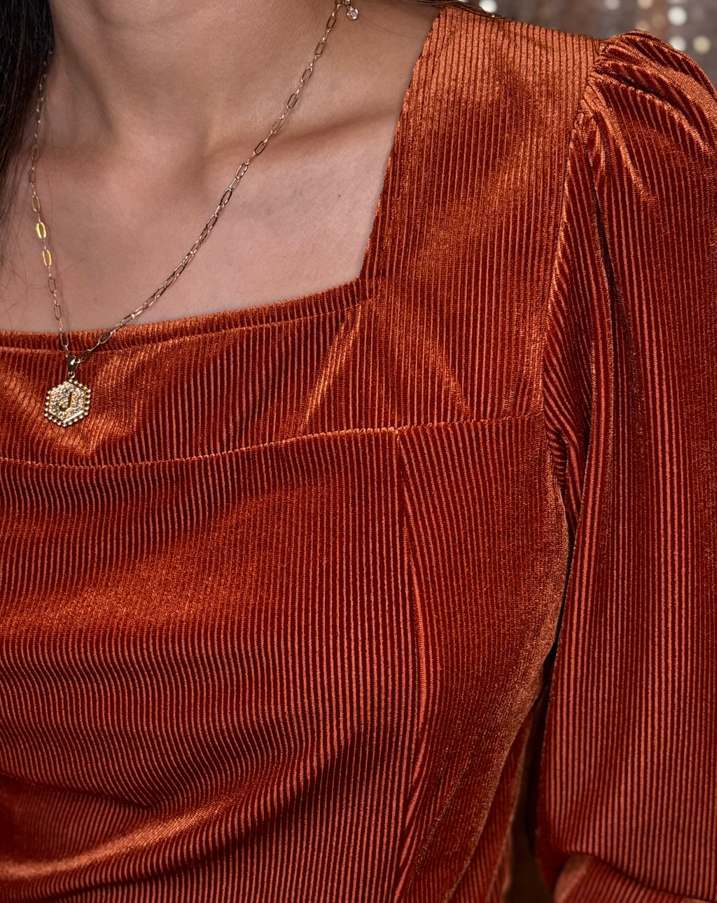 Rust Velvet Blouse